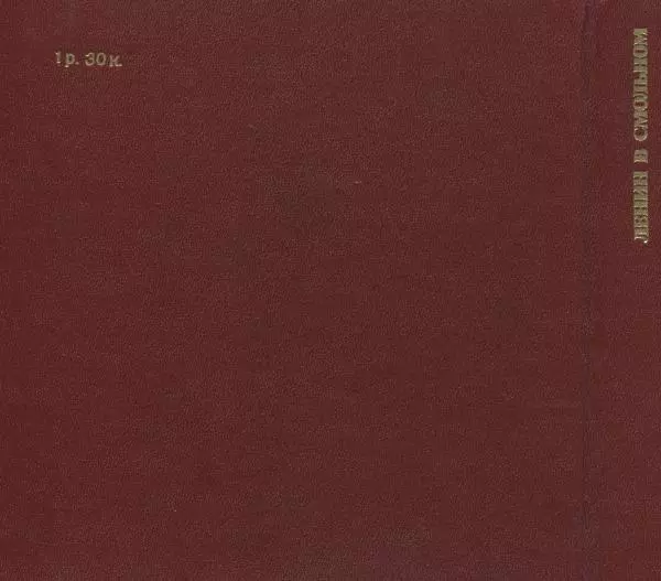 Аграфена Великанова - Ленин в Смольном - Страница № 242