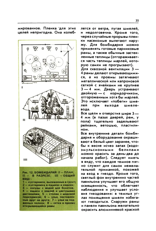 Виктор Гребенников - Шмели - опылители клевера - Страница № 34