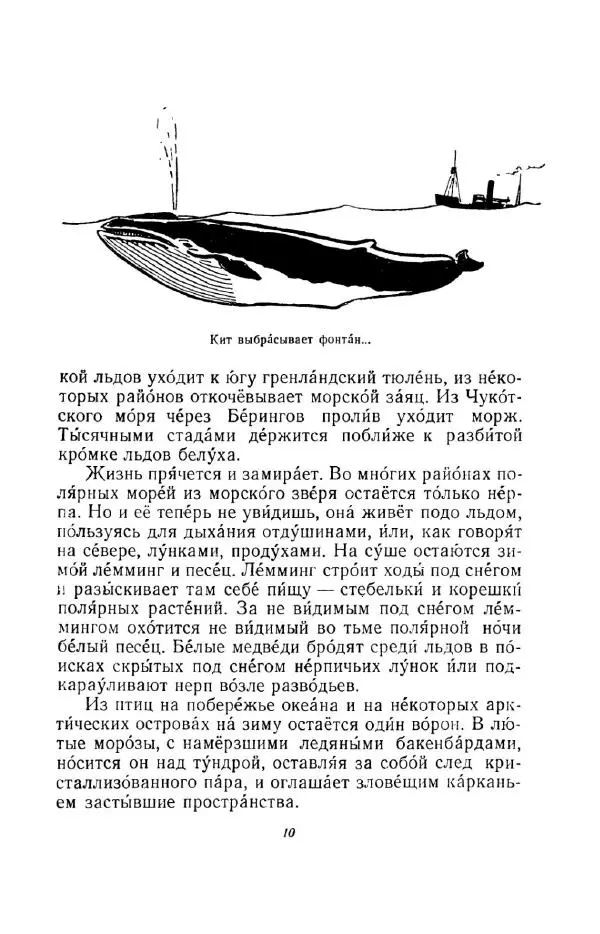 Константин Паустовский - Мир вокруг нас - Страница № 10
