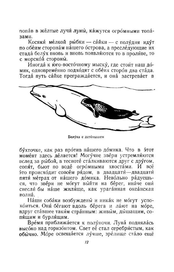 Константин Паустовский - Мир вокруг нас - Страница № 12