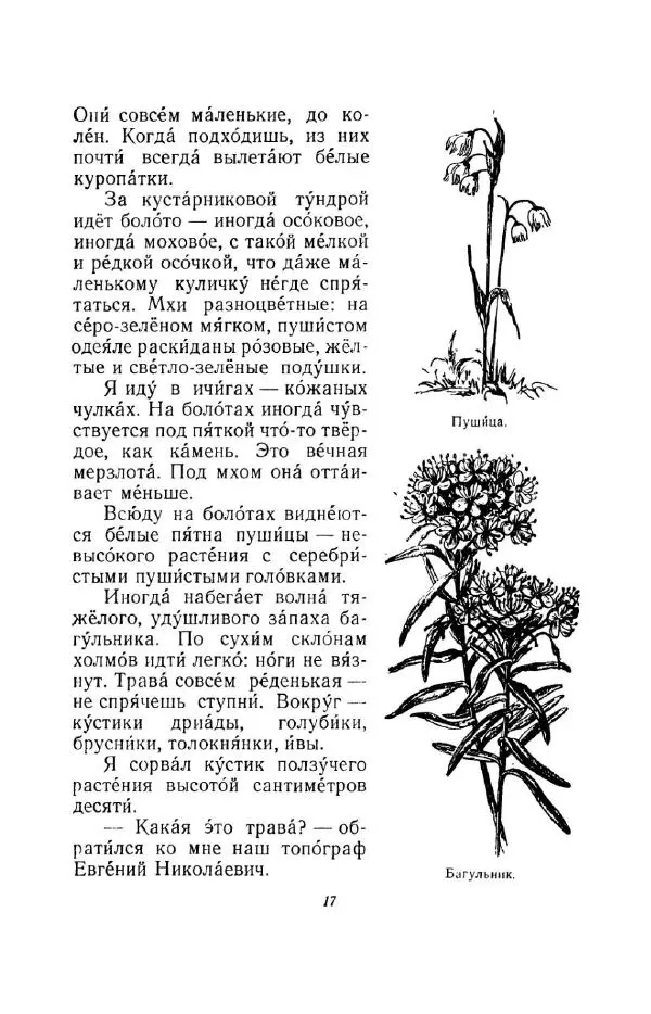 Константин Паустовский - Мир вокруг нас - Страница № 17
