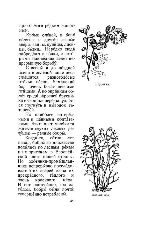 Константин Паустовский - Мир вокруг нас - Страница № 35