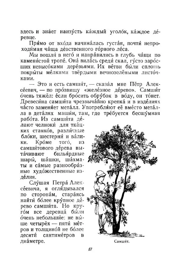 Константин Паустовский - Мир вокруг нас - Страница № 57