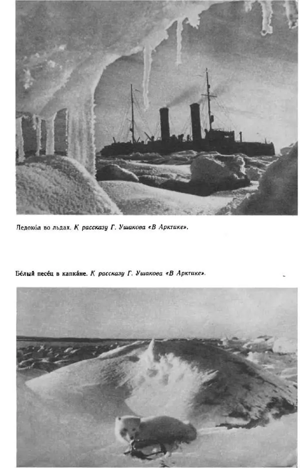 Константин Паустовский - Мир вокруг нас - Страница № 65