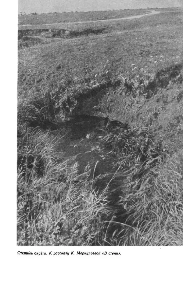 Константин Паустовский - Мир вокруг нас - Страница № 69