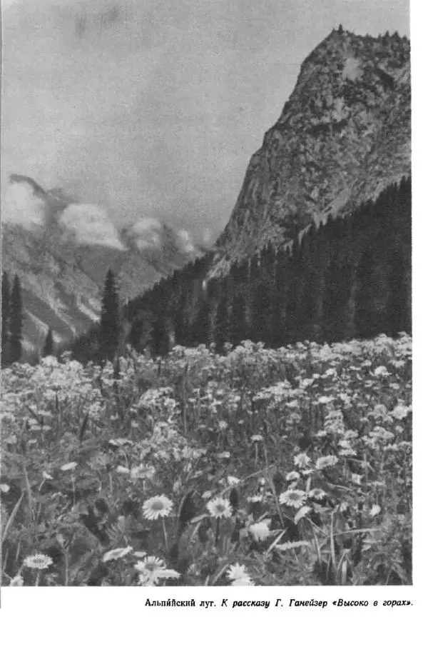 Константин Паустовский - Мир вокруг нас - Страница № 70