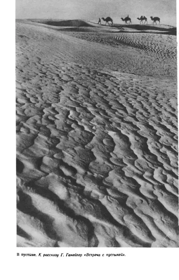 Константин Паустовский - Мир вокруг нас - Страница № 71