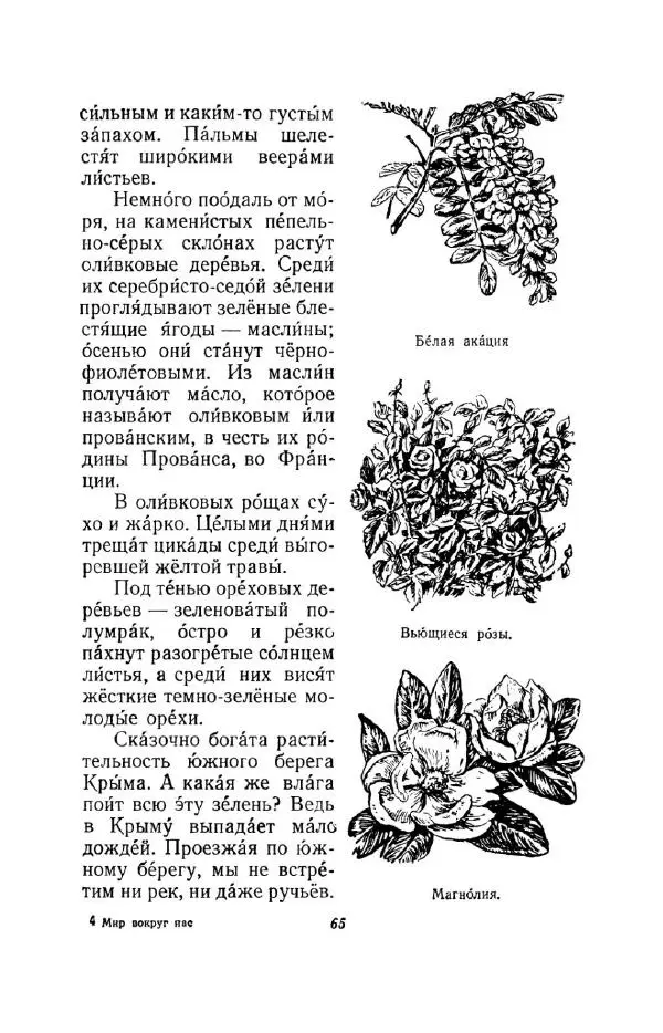 Константин Паустовский - Мир вокруг нас - Страница № 73