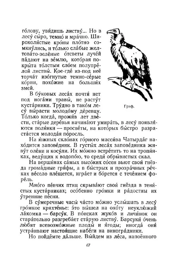 Константин Паустовский - Мир вокруг нас - Страница № 75