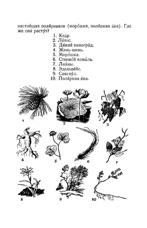 Константин Паустовский - Мир вокруг нас - Страница № 79