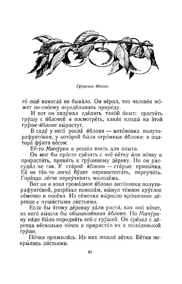 Константин Паустовский - Мир вокруг нас - Страница № 92