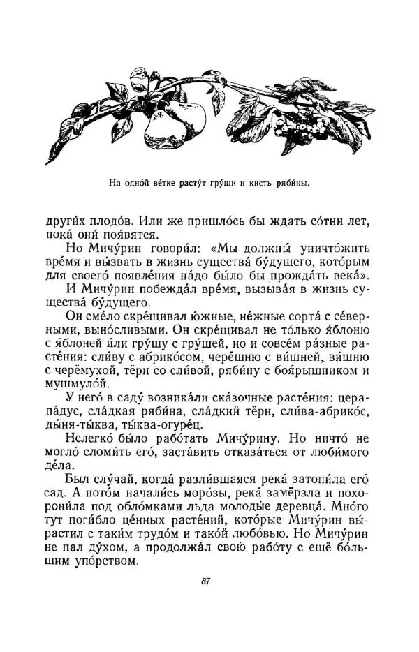 Константин Паустовский - Мир вокруг нас - Страница № 94