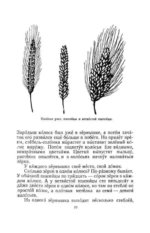 Константин Паустовский - Мир вокруг нас - Страница № 105
