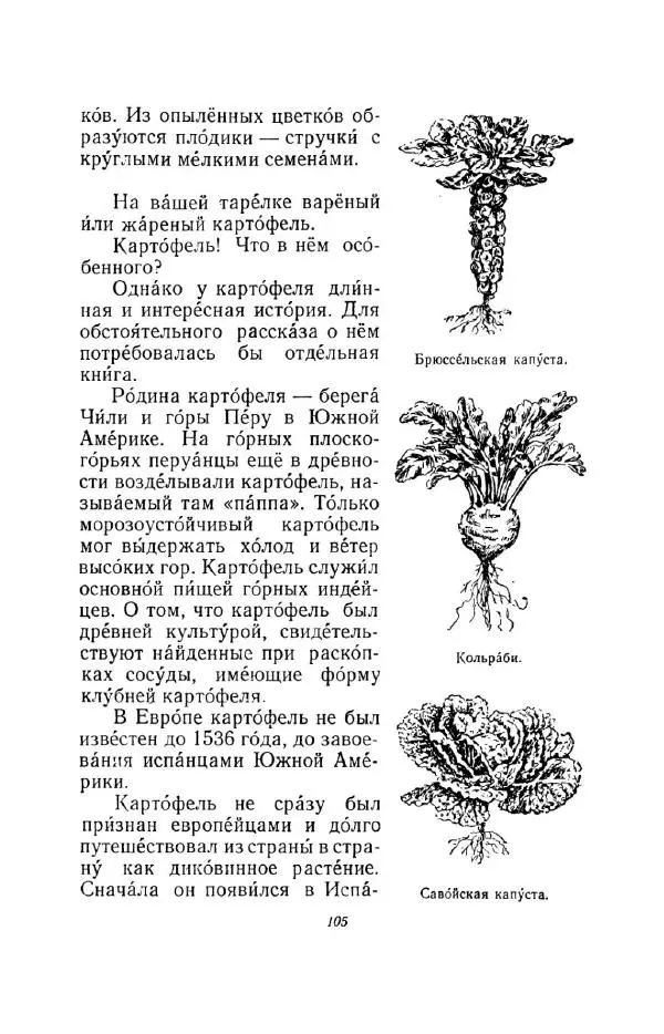 Константин Паустовский - Мир вокруг нас - Страница № 112