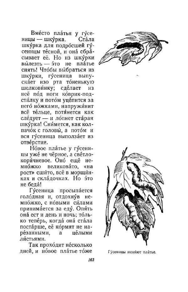 Константин Паустовский - Мир вокруг нас - Страница № 169