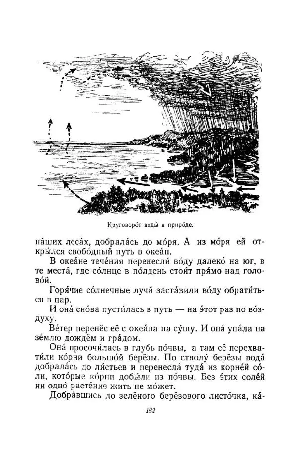 Константин Паустовский - Мир вокруг нас - Страница № 187
