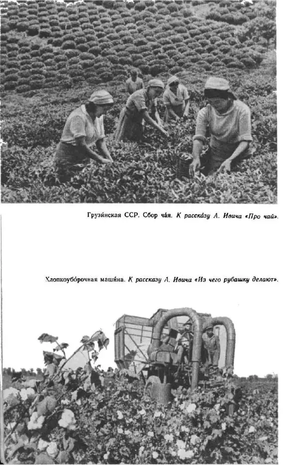 Константин Паустовский - Мир вокруг нас - Страница № 233