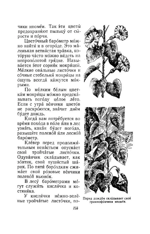 Константин Паустовский - Мир вокруг нас - Страница № 265