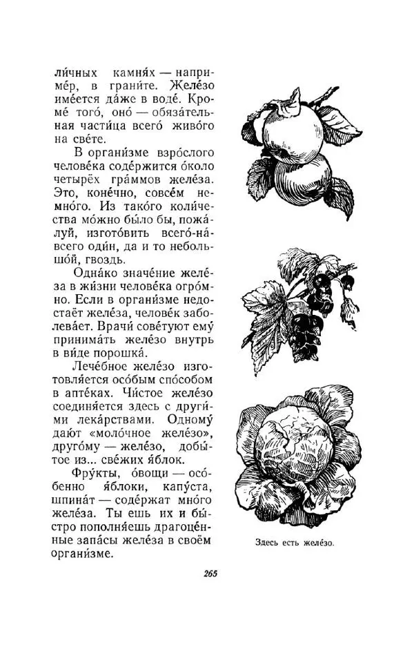 Константин Паустовский - Мир вокруг нас - Страница № 276
