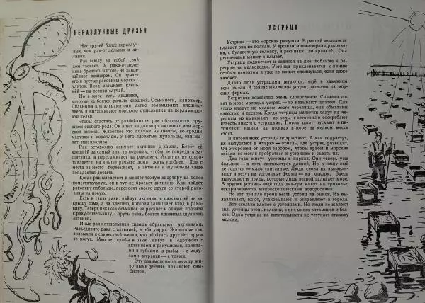 Игорь Акимушкин - Животные морские и речные - Страница № 14