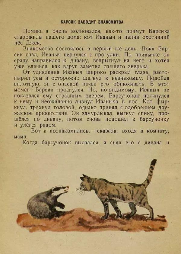 Георгий Скребицкий - Барсучонок - Страница № 5