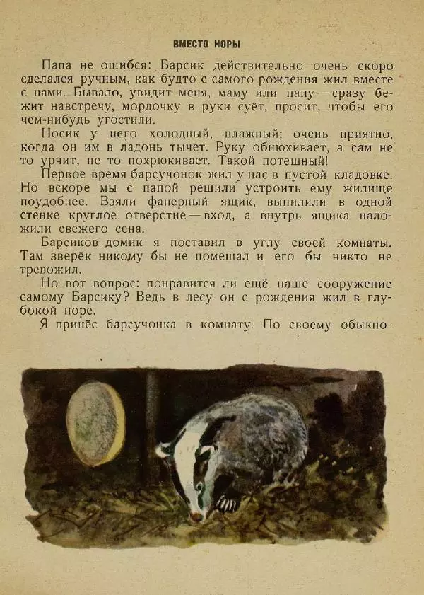 Георгий Скребицкий - Барсучонок - Страница № 8