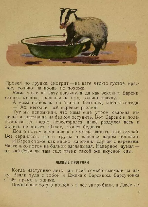 Георгий Скребицкий - Барсучонок - Страница № 10