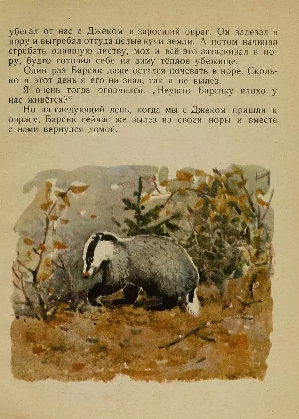 Георгий Скребицкий - Барсучонок - Страница № 16