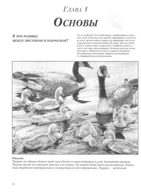 Дэвид Рэнкин - Техника быстрых набросков - Страница № 13