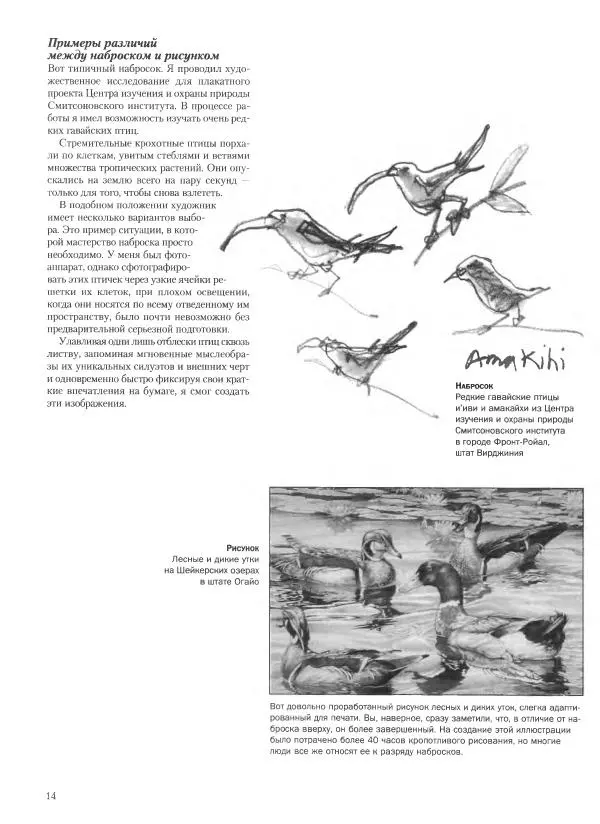 Дэвид Рэнкин - Техника быстрых набросков - Страница № 15