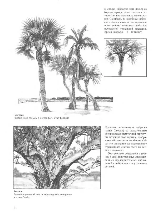 Дэвид Рэнкин - Техника быстрых набросков - Страница № 17