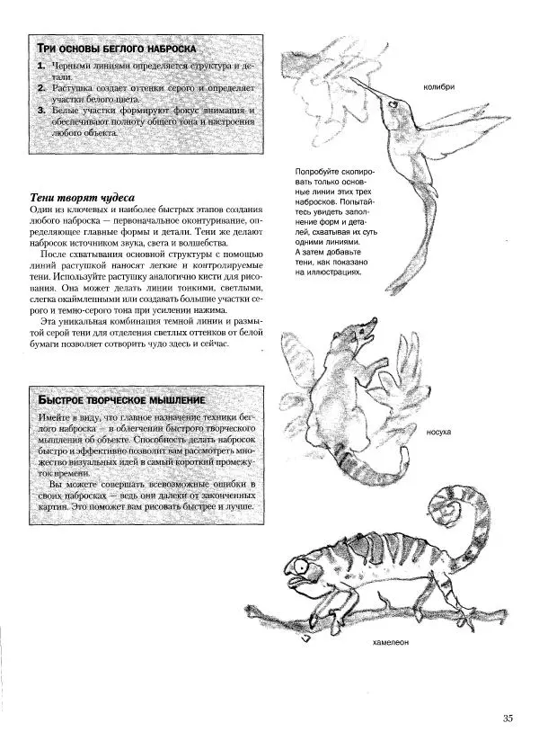Дэвид Рэнкин - Техника быстрых набросков - Страница № 36