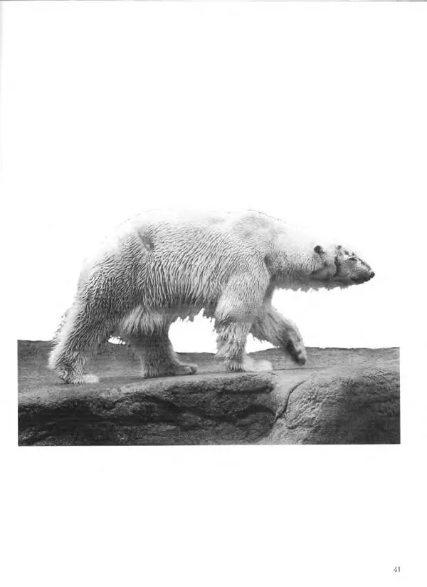 Дэвид Рэнкин - Техника быстрых набросков - Страница № 42