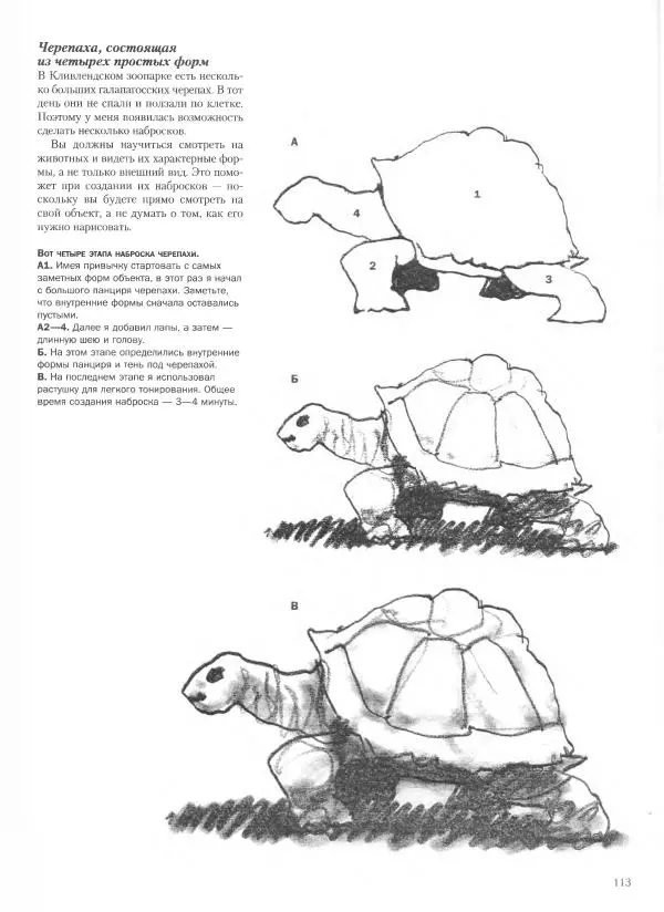 Дэвид Рэнкин - Техника быстрых набросков - Страница № 114