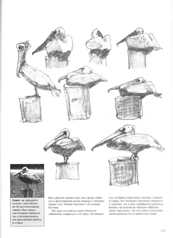 Дэвид Рэнкин - Техника быстрых набросков - Страница № 118