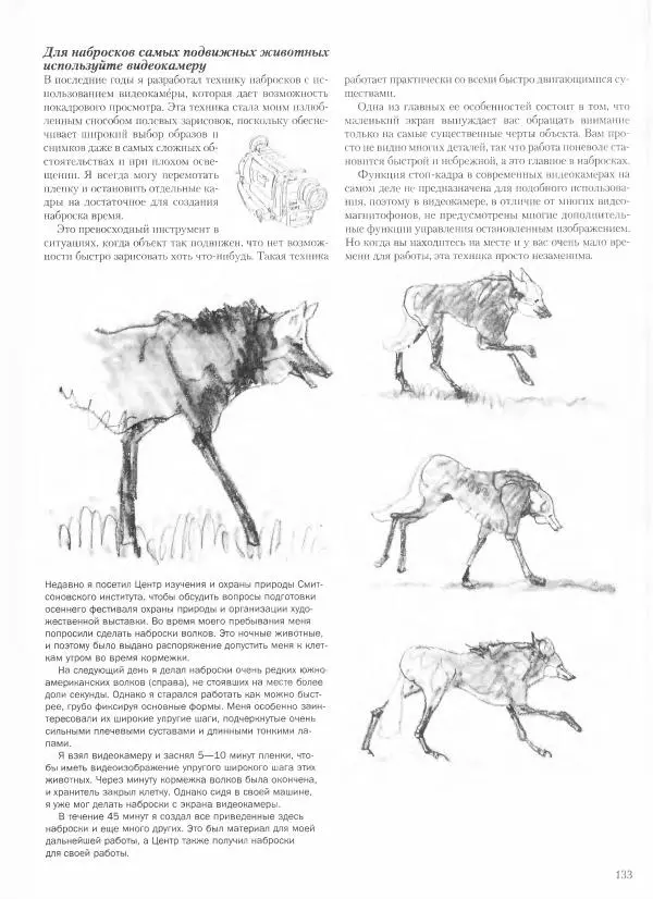 Дэвид Рэнкин - Техника быстрых набросков - Страница № 134