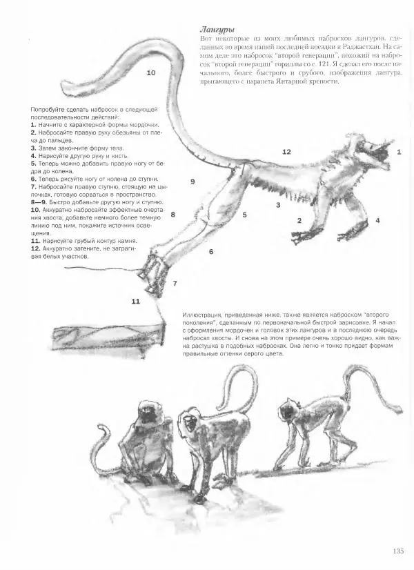 Дэвид Рэнкин - Техника быстрых набросков - Страница № 136