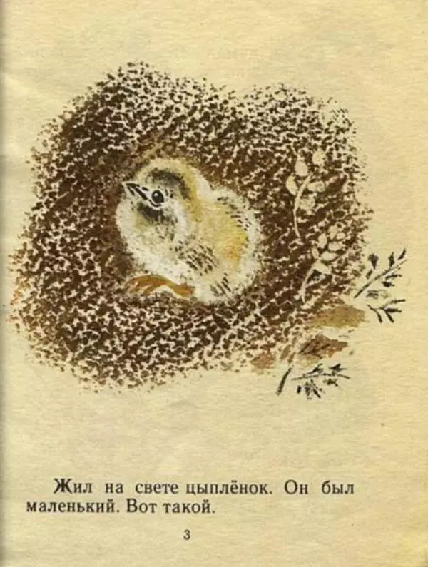Корней Чуковский - Цыпленок - Страница № 3