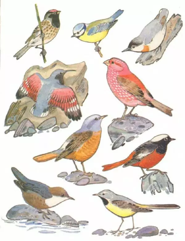 Владимир Флинт - В горах - Страница № 2