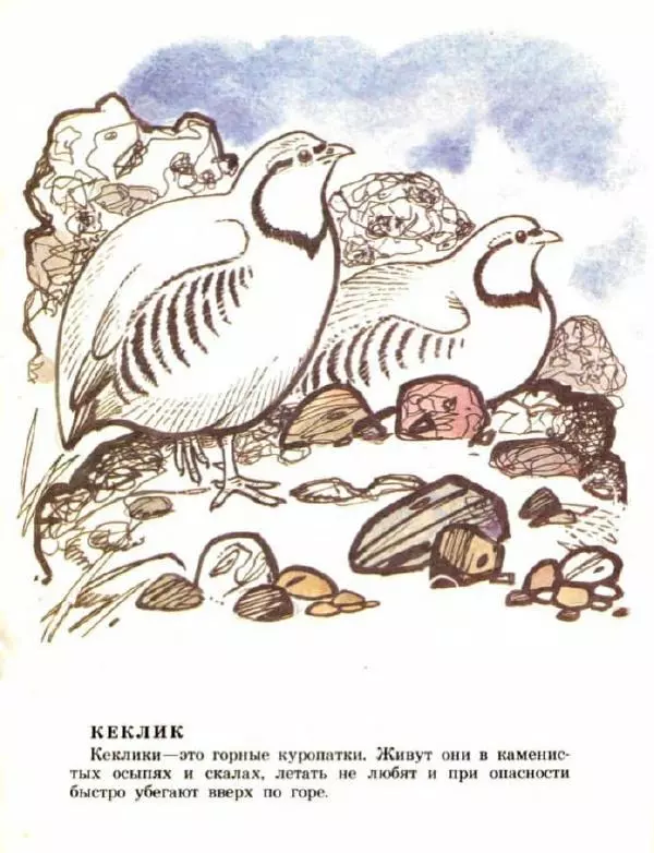 Владимир Флинт - В горах - Страница № 11