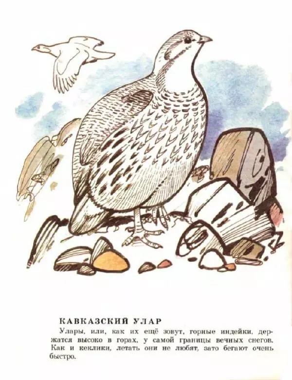 Владимир Флинт - В горах - Страница № 14