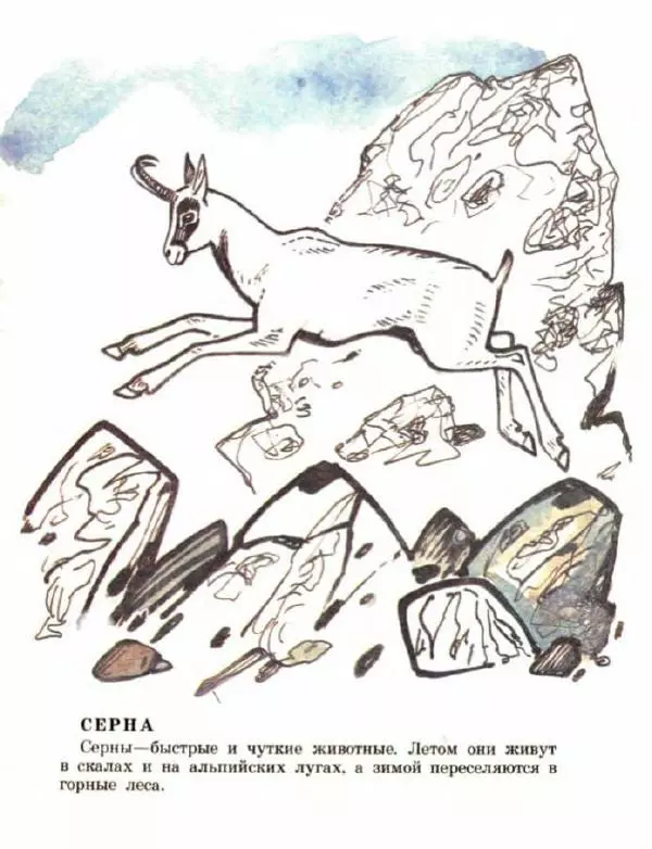 Владимир Флинт - В горах - Страница № 17