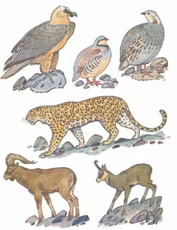 Владимир Флинт - В горах - Страница № 19