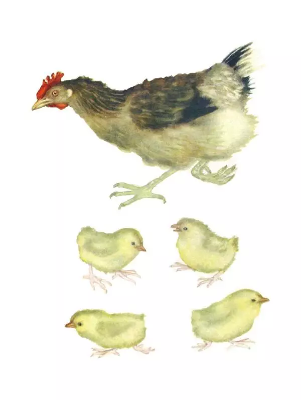 Самуил Маршак - Кто колечко найдёт? - Страница № 9