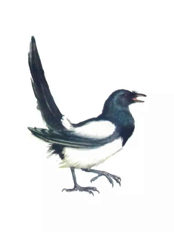 Самуил Маршак - Кто колечко найдёт? - Страница № 13