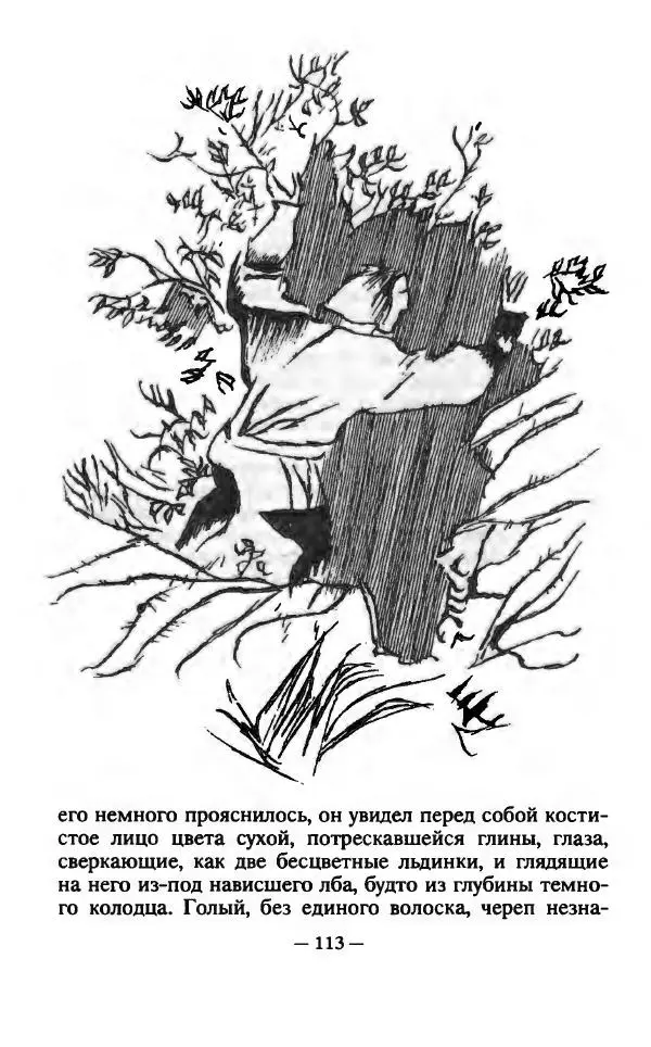 Ллойд Александер - Тарен странник - Страница № 117