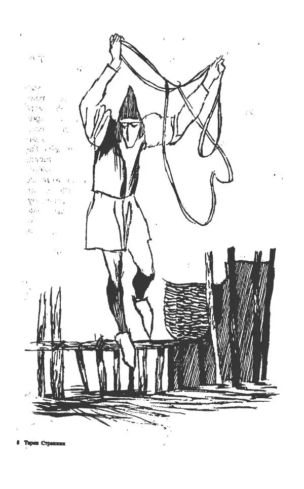 Ллойд Александер - Тарен странник - Страница № 213