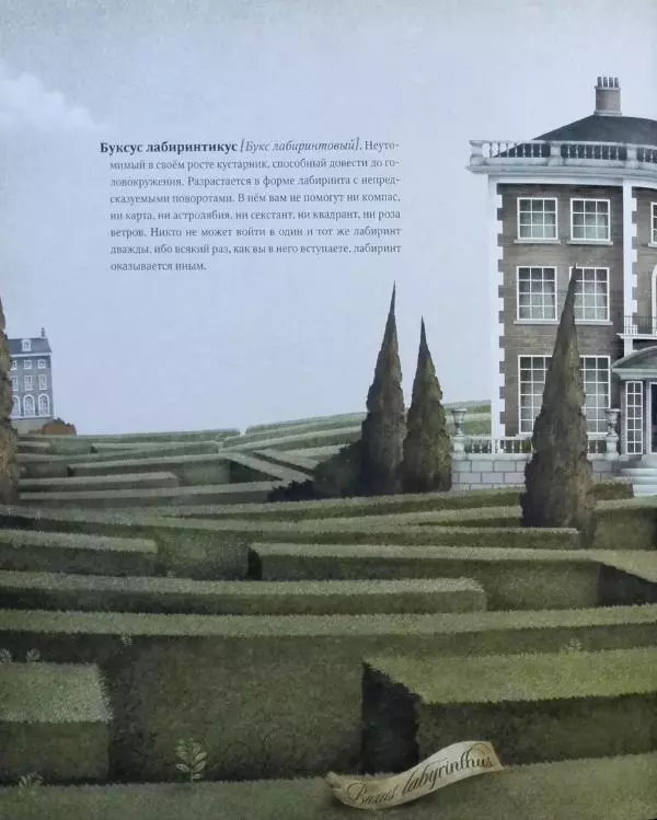 Иван Барренетксеа - Ботанистика Натуралис Ботануса Дульсимера - Страница № 9