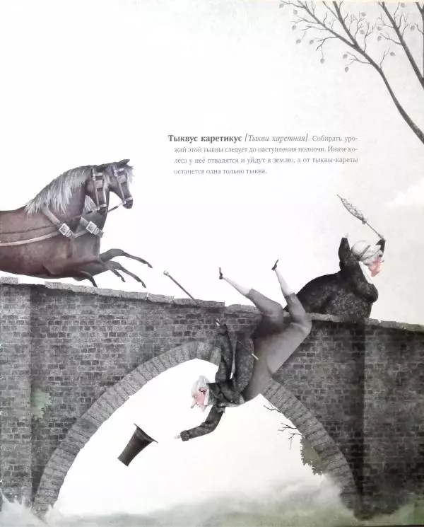 Иван Барренетксеа - Ботанистика Натуралис Ботануса Дульсимера - Страница № 12