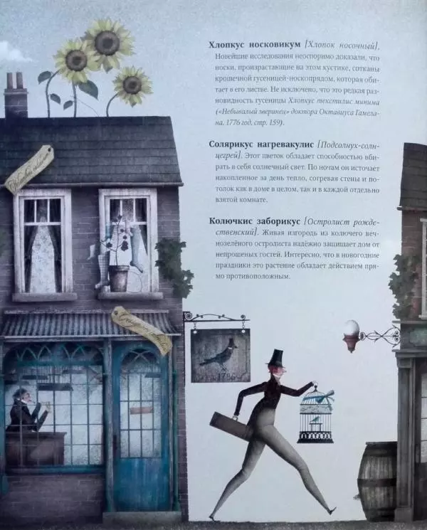 Иван Барренетксеа - Ботанистика Натуралис Ботануса Дульсимера - Страница № 15